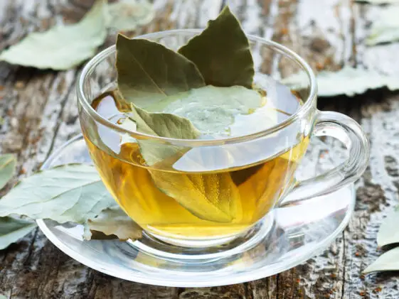 How to Make Bay Leaf Tea