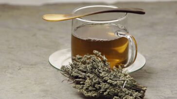 How to Make Mugwort Tea