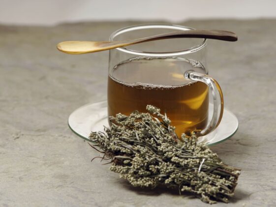 How to Make Mugwort Tea